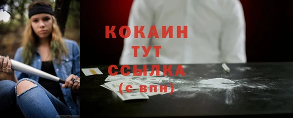 шишки Балабаново