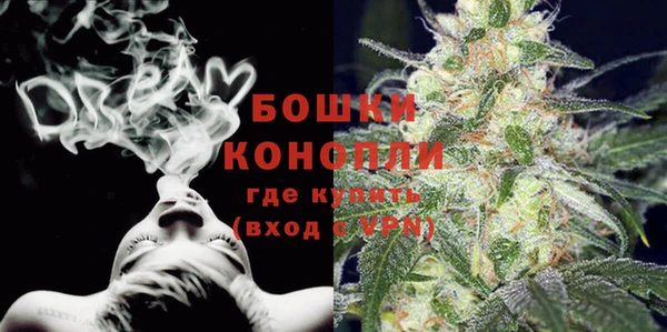 шишки Балабаново
