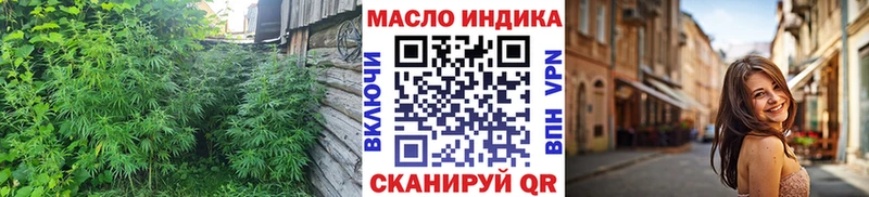 дарнет шоп Нязепетровск Дистиллят ТГК THC oil